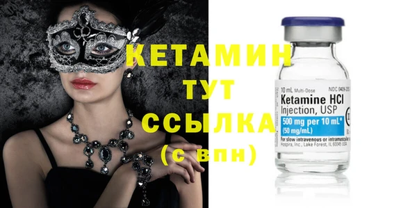 дживик Гатчина