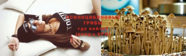 дживик Гатчина
