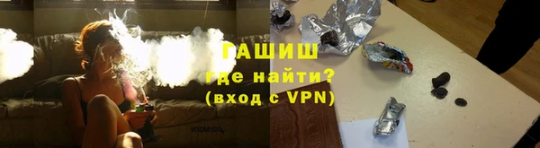 дживик Гатчина