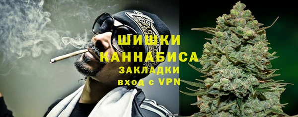 Альфа ПВП Аркадак